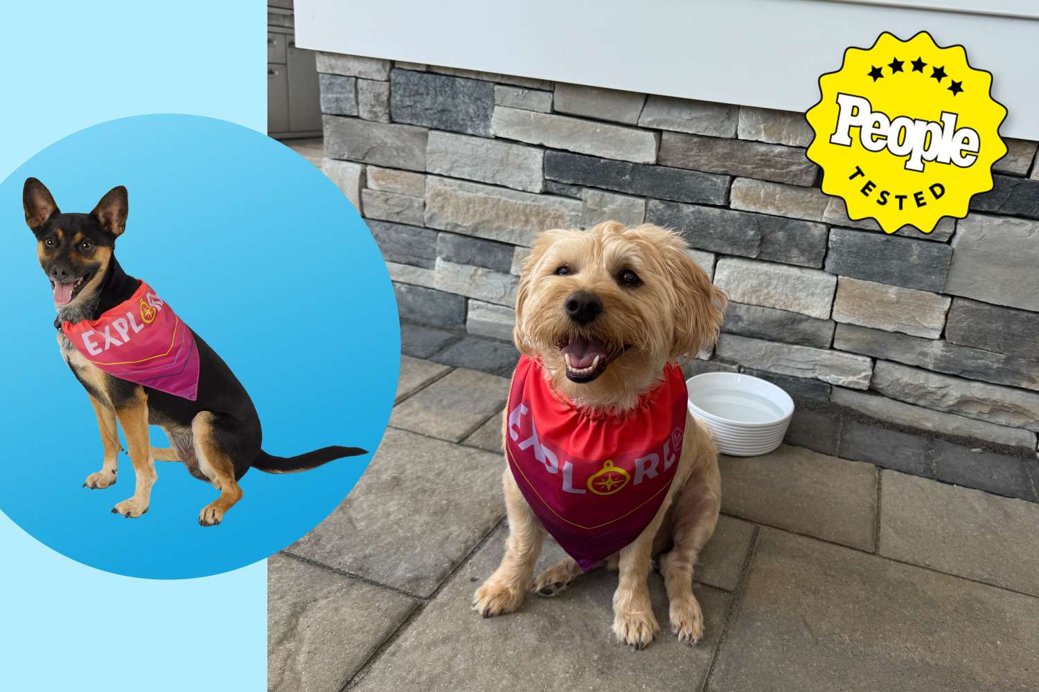 This Petsmart Cooling Turban makes my dog comfortable This Petsmart Cooling Turban makes my dog comfortable