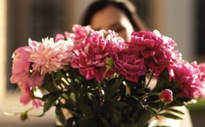 The bouquet of the stars